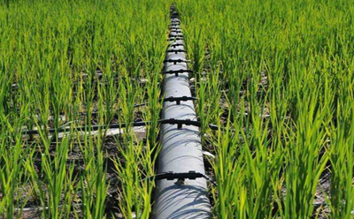 2019010859450797.jpg 2019010859450797.jpg