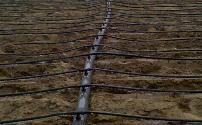 2019010147997173.jpg 2019010147997173.jpg