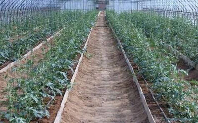 2019031443425141.jpg 2019031443425141.jpg