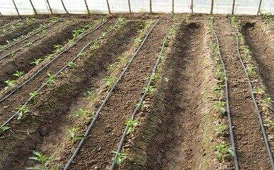 2019031443388737.jpg 2019031443388737.jpg