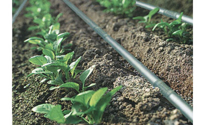 滴灌帶使用年限