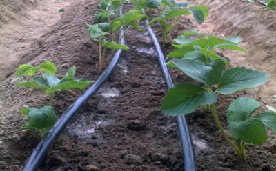 2019060135151657.jpg 2019060135151657.jpg