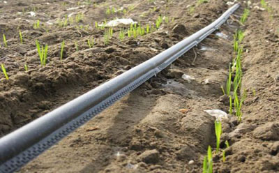 2019060134979501.jpg 2019060134979501.jpg