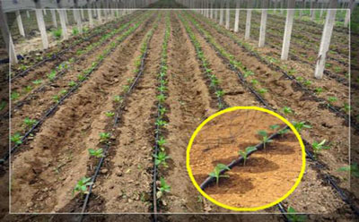 2019062029026969.jpg 2019062029026969.jpg