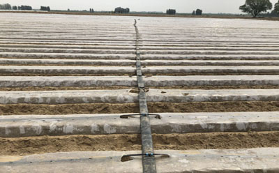 2019061829859297.jpg 2019061829859297.jpg