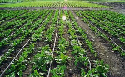 2019061733169861.jpg 2019061733169861.jpg