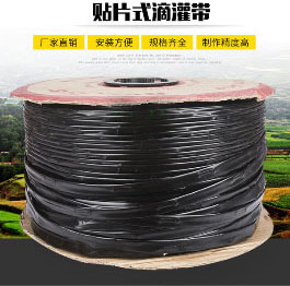 貼片式滴灌帶.jpg