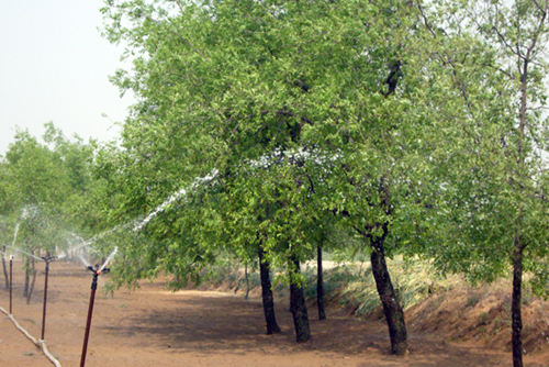 內(nèi)鑲貼片滴灌帶廠家 內(nèi)鑲貼片滴灌帶廠家