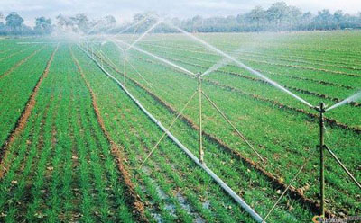 噴灌施工 噴灌施工