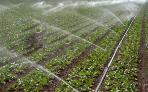 哪種灌溉方式更適合在干旱地區(qū)使用呢？